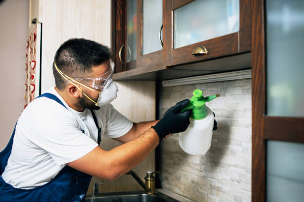 Best Cockroach Control Services  in Winslow, AZ