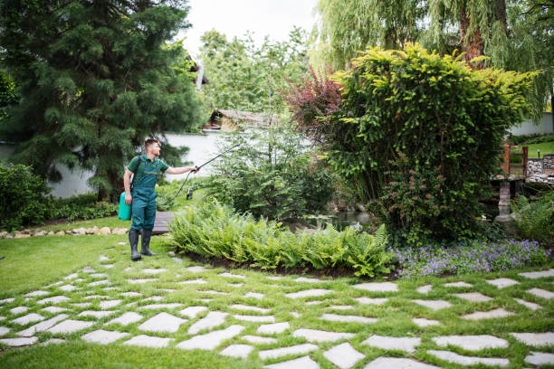 Best Wasp Removal Services  in Winslow, AZ