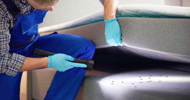 Best Commercial Pest Control Services  in Winslow, AZ