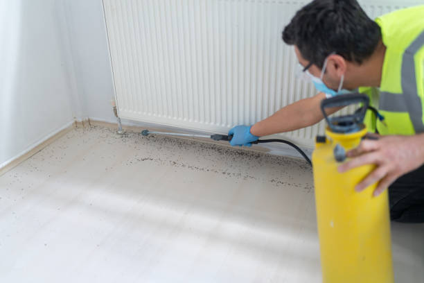 Best Best Pest Control Companies  in Winslow, AZ