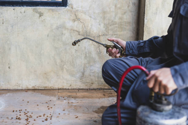 Reliable Winslow, AZ Pest Control Solutions