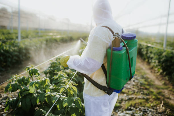 Best Pest Control for Homes  in Winslow, AZ